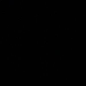 Meet your Posher, Sofia